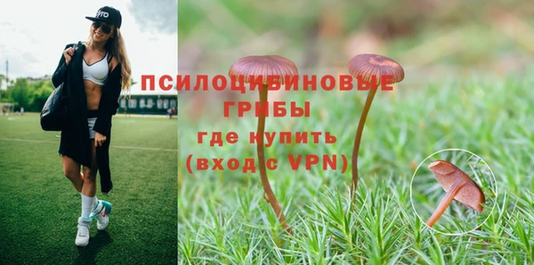 экстази Баксан